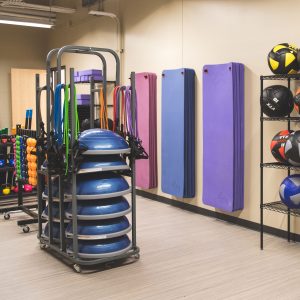 Balance fitness accessories